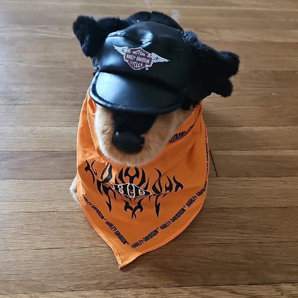Harley Davidson Pet Size XS Hat & Orange Harley Bandana